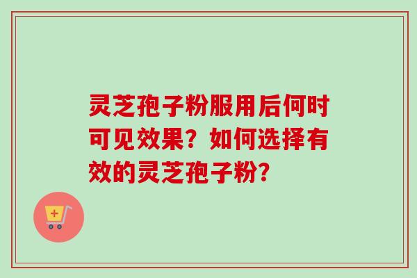 灵芝孢子粉服用后何时可见效果？如何选择有效的灵芝孢子粉？