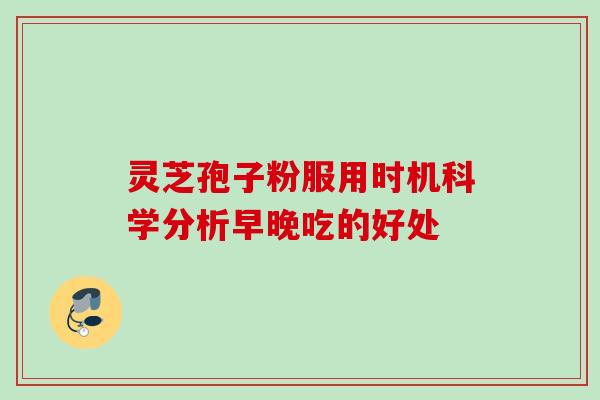 灵芝孢子粉服用时机科学分析早晚吃的好处 灵芝孢子粉服用时机科学分析早晚吃的好处