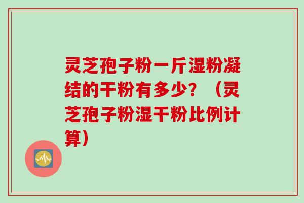 灵芝孢子粉一斤湿粉凝结的干粉有多少？（灵芝孢子粉湿干粉比例计算）