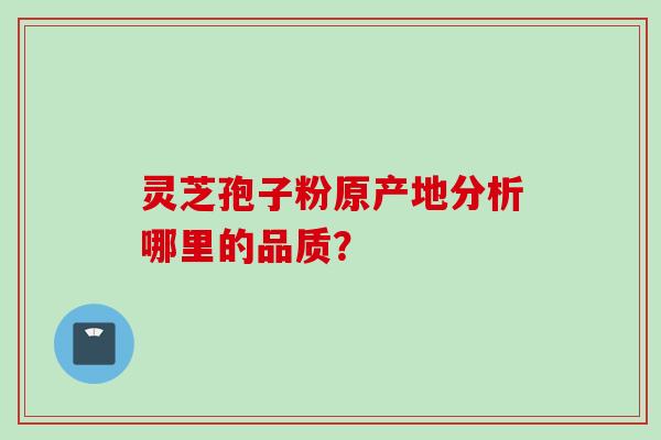 灵芝孢子粉原产地分析哪里的品质？