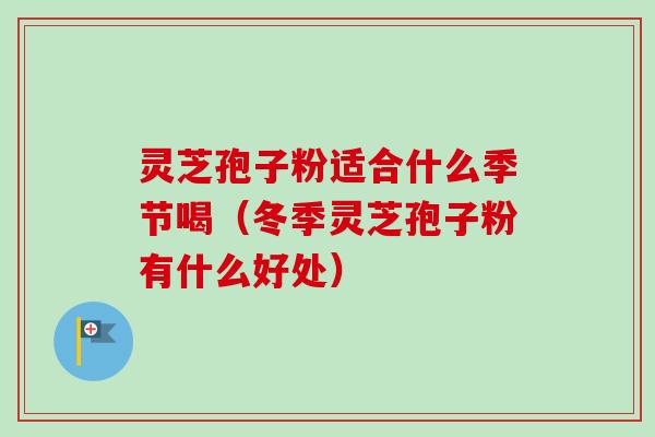 灵芝孢子粉适合什么季节喝（冬季灵芝孢子粉有什么好处）