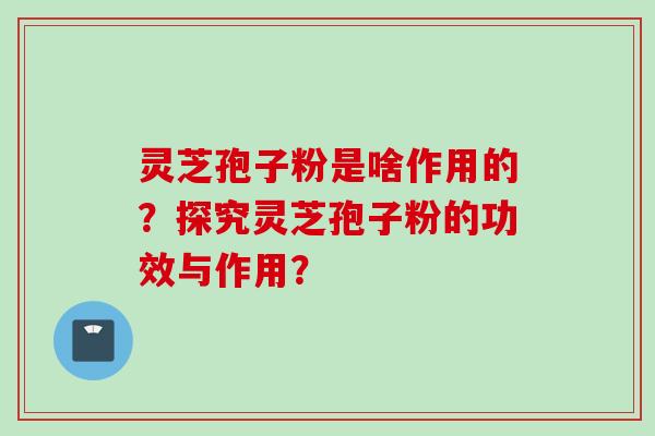 灵芝孢子粉是啥作用的？探究灵芝孢子粉的功效与作用？