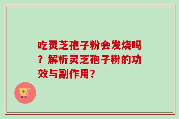 吃灵芝孢子粉会发烧吗？解析灵芝孢子粉的功效与副作用？