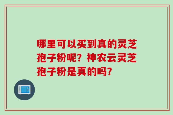 哪里可以买到真的灵芝孢子粉呢？神农云灵芝孢子粉是真的吗？