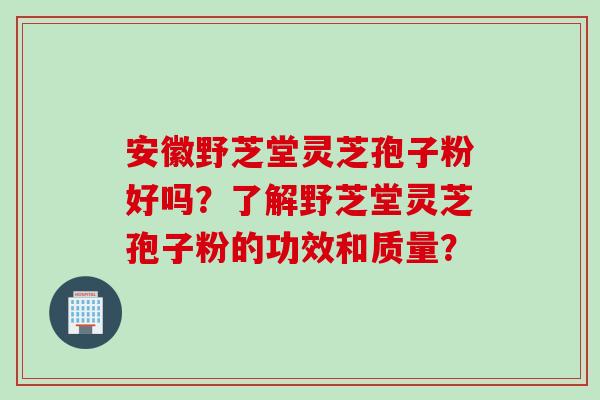安徽野芝堂灵芝孢子粉好吗？了解野芝堂灵芝孢子粉的功效和质量？