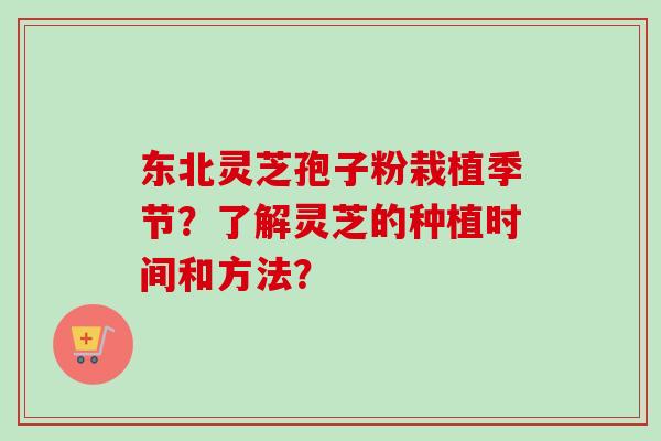 东北灵芝孢子粉栽植季节？了解灵芝的种植时间和方法？