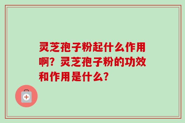 灵芝孢子粉起什么作用啊？灵芝孢子粉的功效和作用是什么？
