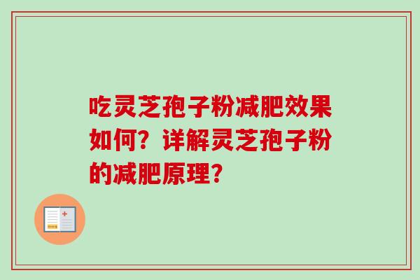 吃灵芝孢子粉减肥效果如何？详解灵芝孢子粉的减肥原理？
