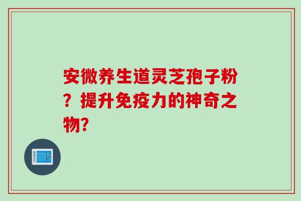 安微养生道灵芝孢子粉？提升免疫力的神奇之物？