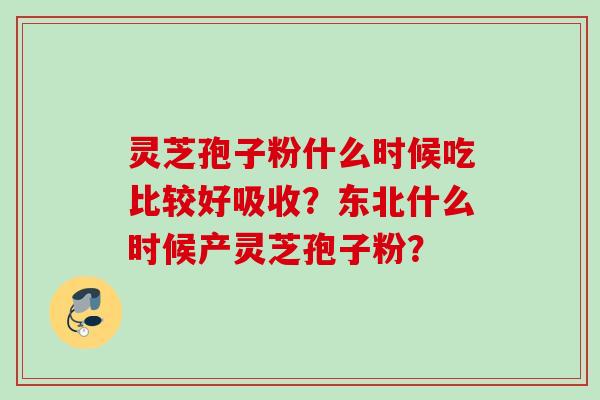 灵芝孢子粉什么时候吃比较好吸收？东北什么时候产灵芝孢子粉？