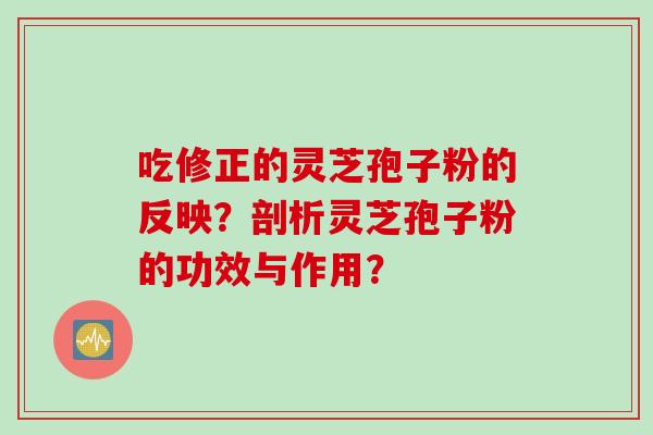 吃修正的灵芝孢子粉的反映？剖析灵芝孢子粉的功效与作用？