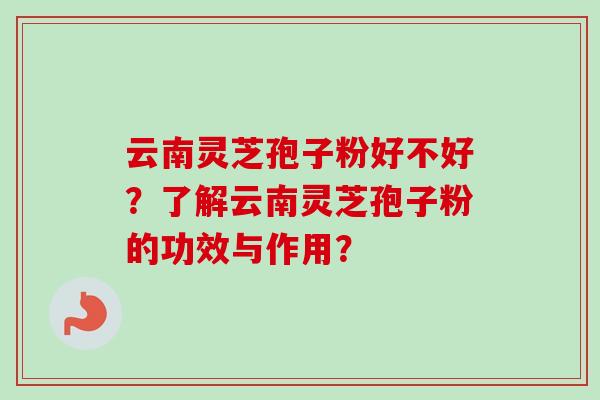 云南灵芝孢子粉好不好？了解云南灵芝孢子粉的功效与作用？