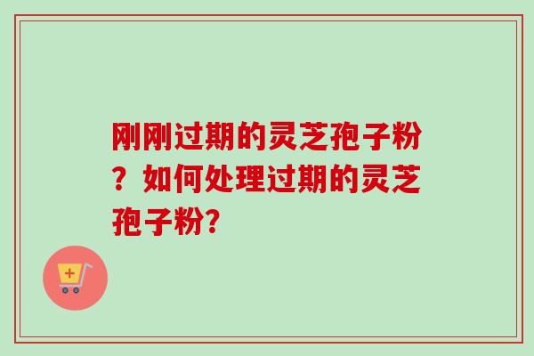 刚刚过期的灵芝孢子粉？如何处理过期的灵芝孢子粉？