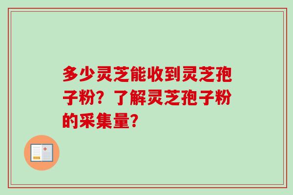 多少灵芝能收到灵芝孢子粉?了解灵芝孢子粉的采集量? 多少灵芝能收到灵芝孢子粉?了解灵芝孢子粉的采集量?