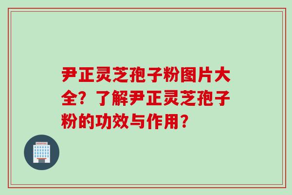 尹正灵芝孢子粉图片大全？了解尹正灵芝孢子粉的功效与作用？