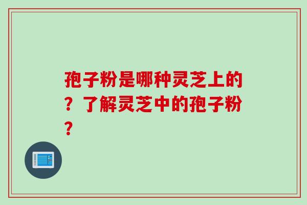 孢子粉是哪种灵芝上的？了解灵芝中的孢子粉？
