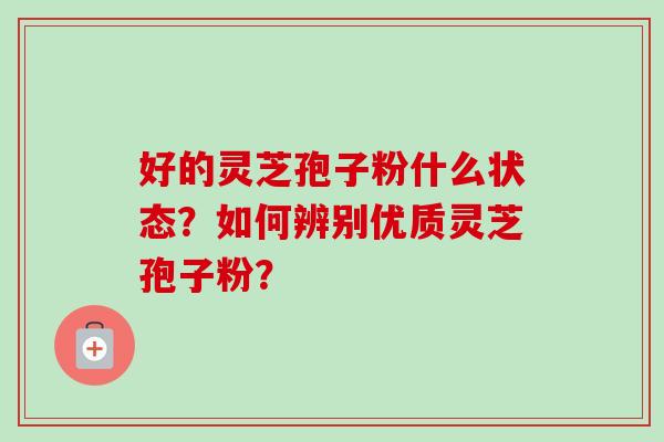 好的灵芝孢子粉什么状态?如何辨别优质灵芝孢子粉? 好的灵芝孢子粉什么状态?如何辨别优质灵芝孢子粉?