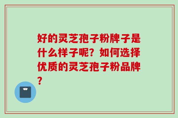 好的灵芝孢子粉牌子是什么样子呢？如何选择优质的灵芝孢子粉品牌？