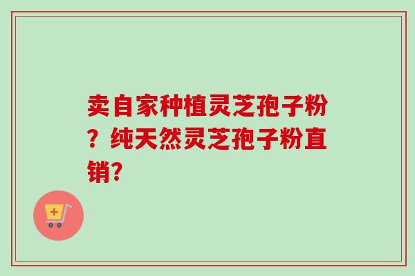 卖自家种植灵芝孢子粉？纯天然灵芝孢子粉直销？