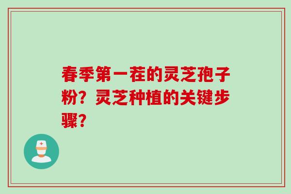 春季第一茬的灵芝孢子粉？灵芝种植的关键步骤？