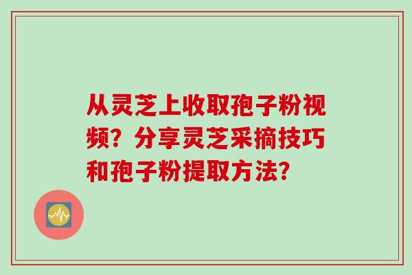 从灵芝上收取孢子粉视频？分享灵芝采摘技巧和孢子粉提取方法？