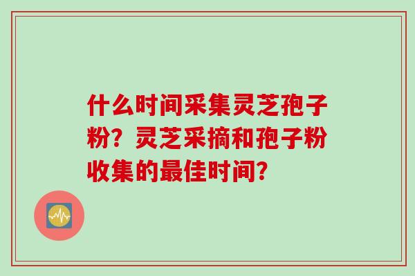 什么时间采集灵芝孢子粉？灵芝采摘和孢子粉收集的最佳时间？