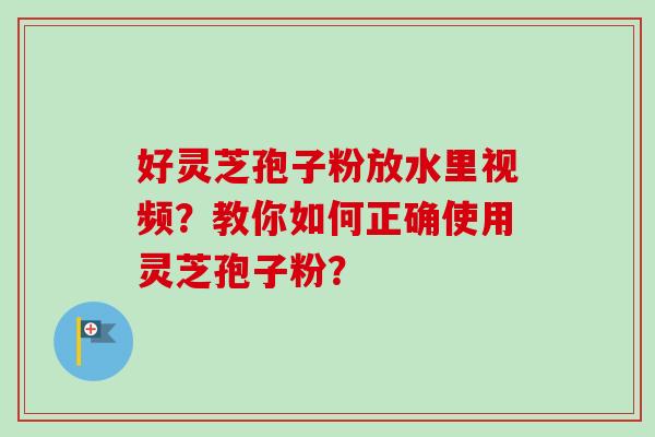 好灵芝孢子粉放水里视频？教你如何正确使用灵芝孢子粉？