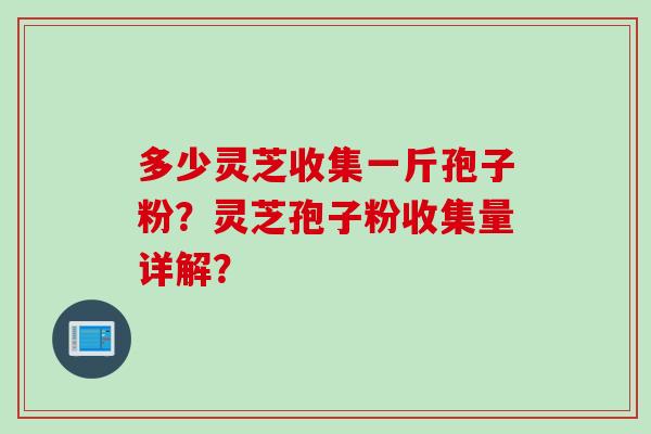 多少灵芝收集一斤孢子粉?灵芝孢子粉收集量详解? 多少灵芝收集一斤孢子粉?灵芝孢子粉收集量详解?