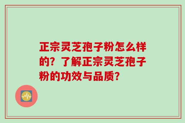 正宗灵芝孢子粉怎么样的？了解正宗灵芝孢子粉的功效与品质？