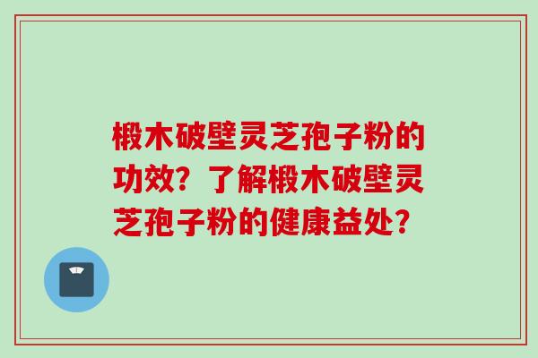 椴木破壁灵芝孢子粉的功效？了解椴木破壁灵芝孢子粉的健康益处？