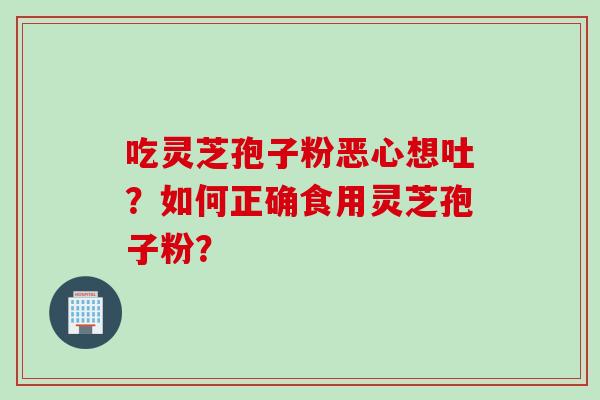 吃灵芝孢子粉恶心想吐？如何正确食用灵芝孢子粉？