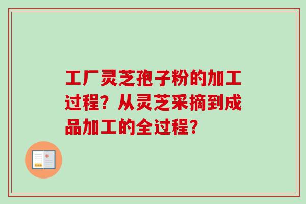 工厂灵芝孢子粉的加工过程？从灵芝采摘到成品加工的全过程？
