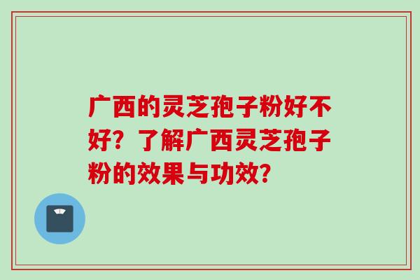 广西的灵芝孢子粉好不好？了解广西灵芝孢子粉的效果与功效？
