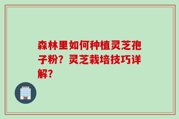 森林里如何种植灵芝孢子粉？灵芝栽培技巧详解？
