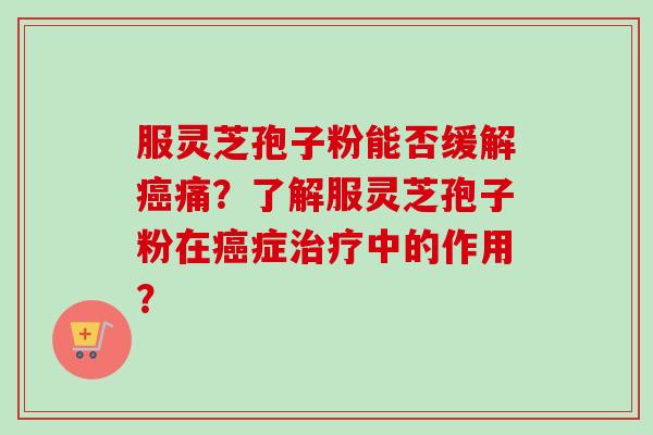 服灵芝孢子粉能否缓解癌痛？了解服灵芝孢子粉在癌症治疗中的作用？