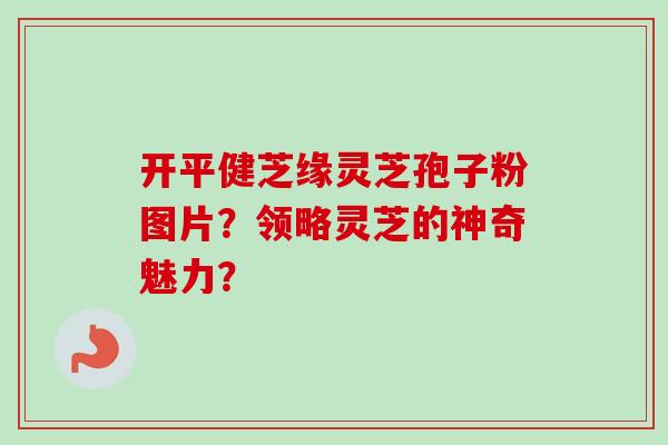 开平健芝缘灵芝孢子粉图片？领略灵芝的神奇魅力？