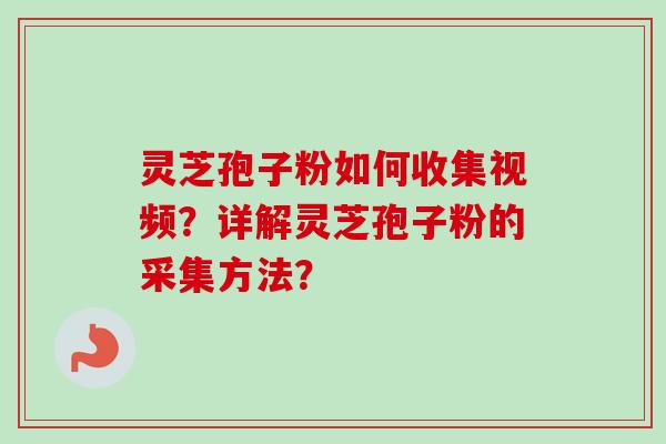 灵芝孢子粉如何收集视频？详解灵芝孢子粉的采集方法？