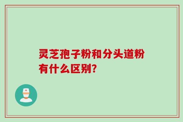 灵芝孢子粉和分头道粉有什么区别？