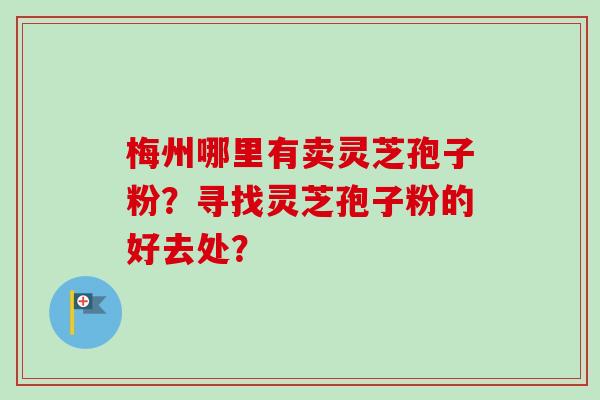 梅州哪里有卖灵芝孢子粉？寻找灵芝孢子粉的好去处？