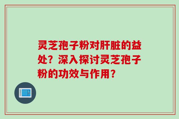 灵芝孢子粉对肝脏的益处？深入探讨灵芝孢子粉的功效与作用？
