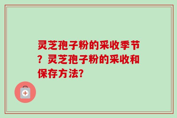 灵芝孢子粉的采收季节？灵芝孢子粉的采收和保存方法？