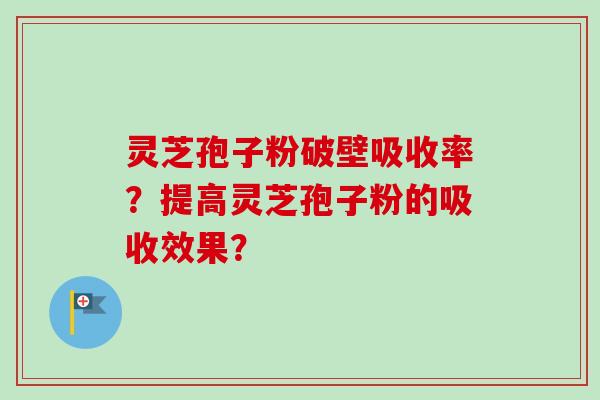 灵芝孢子粉破壁吸收率？提高灵芝孢子粉的吸收效果？