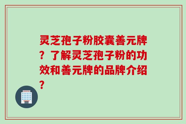 灵芝孢子粉胶囊善元牌？了解灵芝孢子粉的功效和善元牌的品牌介绍？