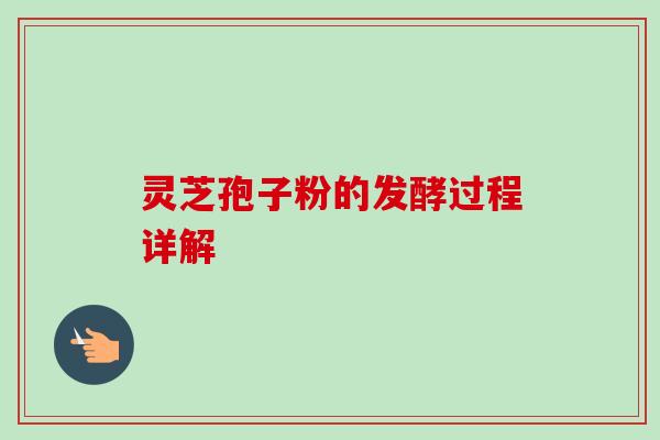 灵芝孢子粉的发酵过程详解