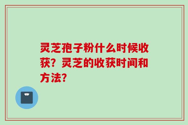 灵芝孢子粉什么时候收获？灵芝的收获时间和方法？