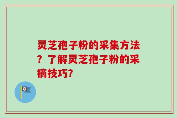灵芝孢子粉的采集方法?了解灵芝孢子粉的采摘技巧? 灵芝孢子粉的采集方法?了解灵芝孢子粉的采摘技巧?