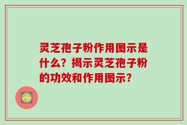 灵芝孢子粉作用图示是什么？揭示灵芝孢子粉的功效和作用图示？