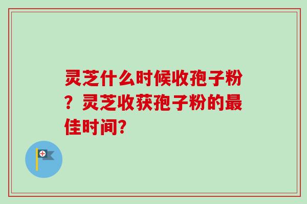 灵芝什么时候收孢子粉？灵芝收获孢子粉的最佳时间？