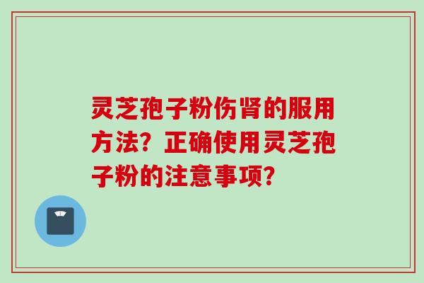 灵芝孢子粉伤肾的服用方法？正确使用灵芝孢子粉的注意事项？