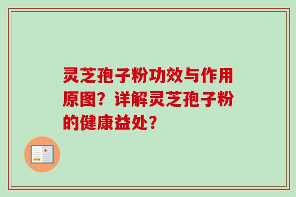 灵芝孢子粉功效与作用原图？详解灵芝孢子粉的健康益处？